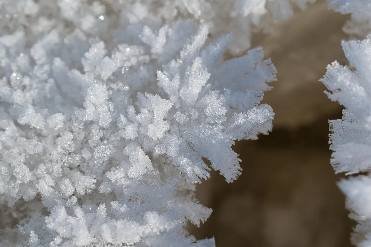 fiocco di neve