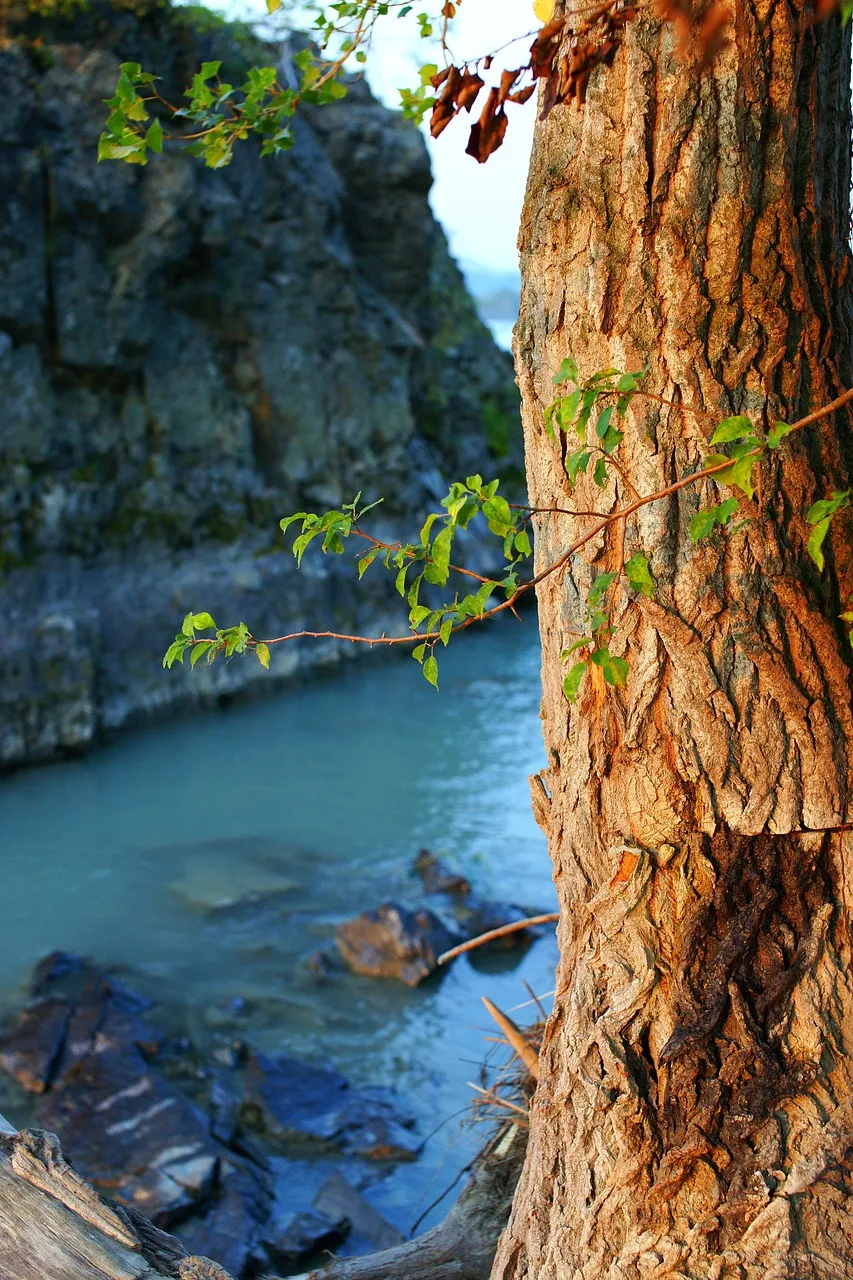 altai mountains