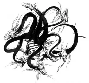 hydra